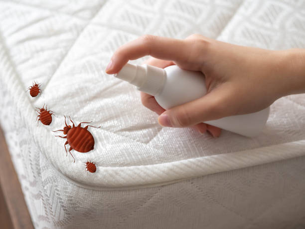 Pest Control for Hotels in Minoa, NY